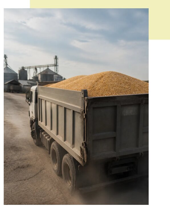 Перевозка сельхозпродукции навалом в Симферополь по цене от 3116 р. | Агросервис-Сим